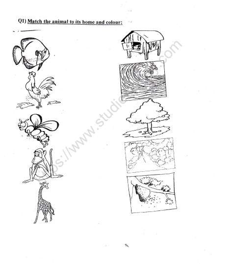 CBSE Class 2 EVS Practice Animals Worksheet Set B Practice Worksheet